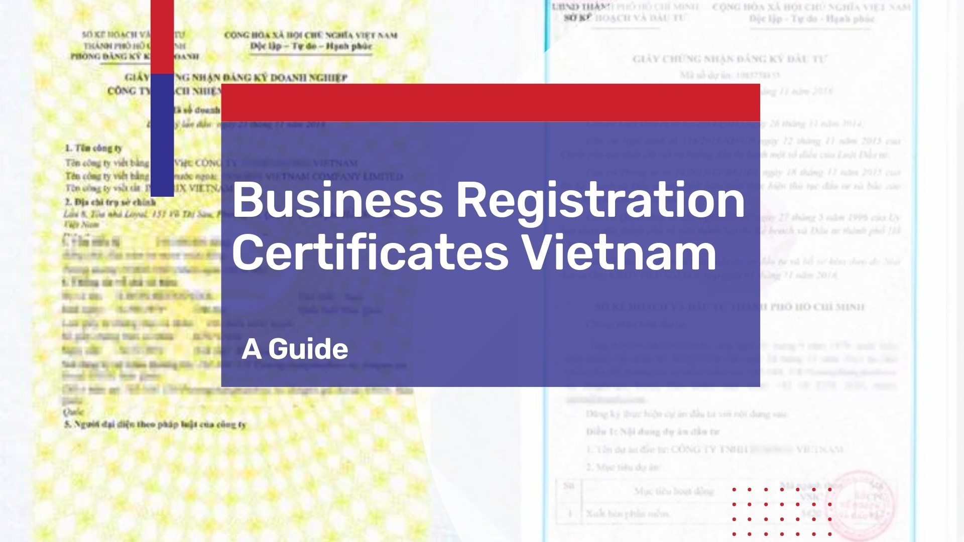 What to Know about Business Registration Certificates in Vietnam