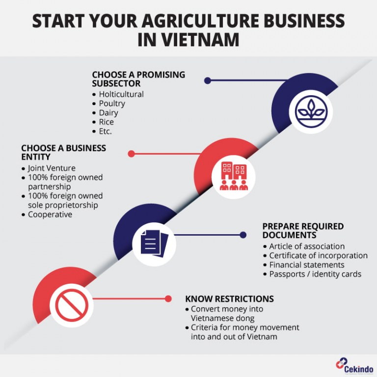 Starting a Business in Vietnam's Agricultural Sector: Your Guide