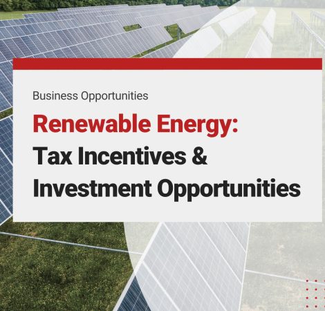 Renewable Energy in Vietnam: Tax Incentives and Investment Opportunities